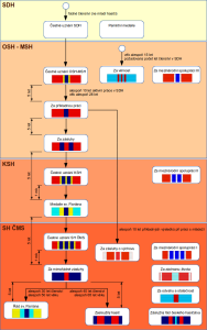 shcms-diagram-hasici